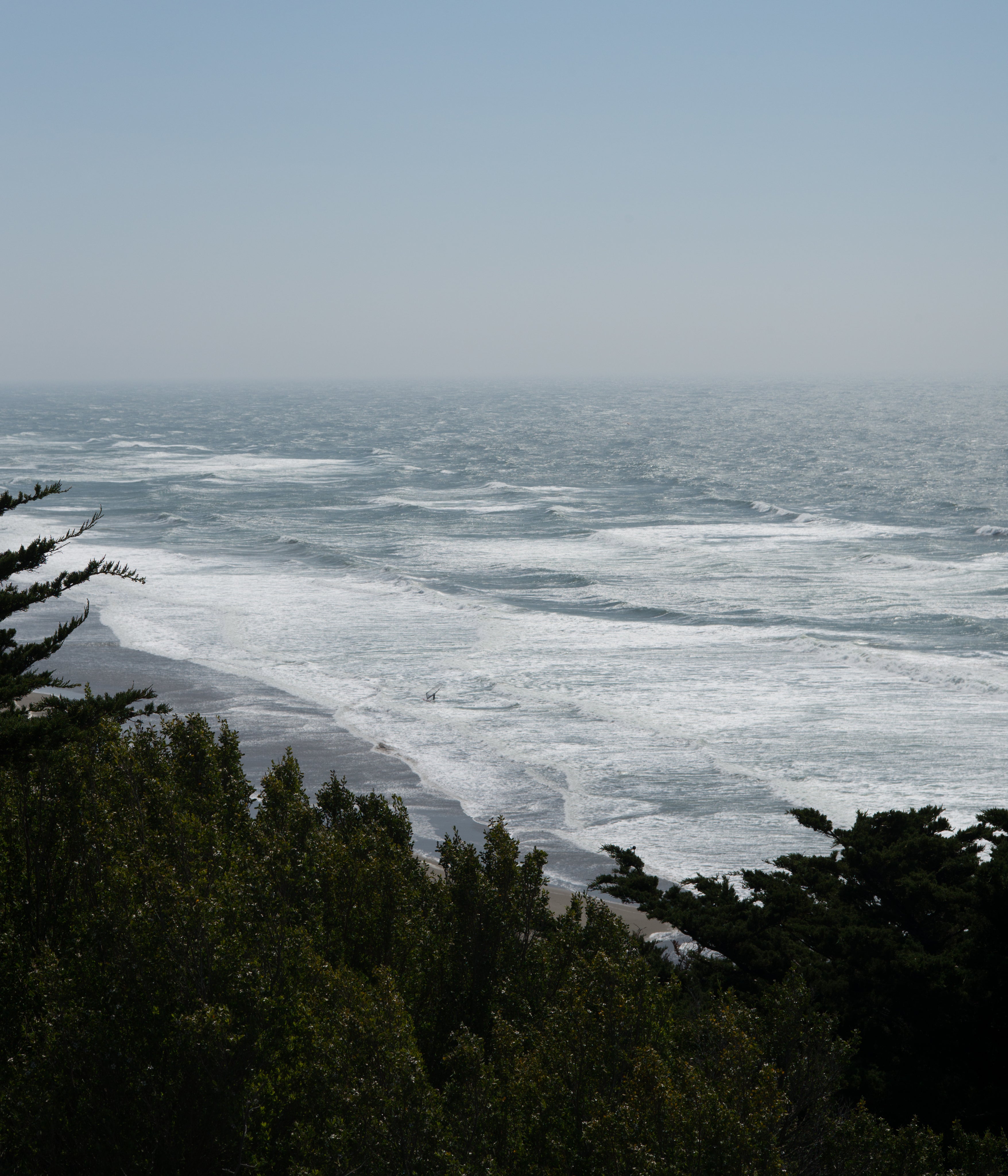 files/beach-waves-through-trees.jpg