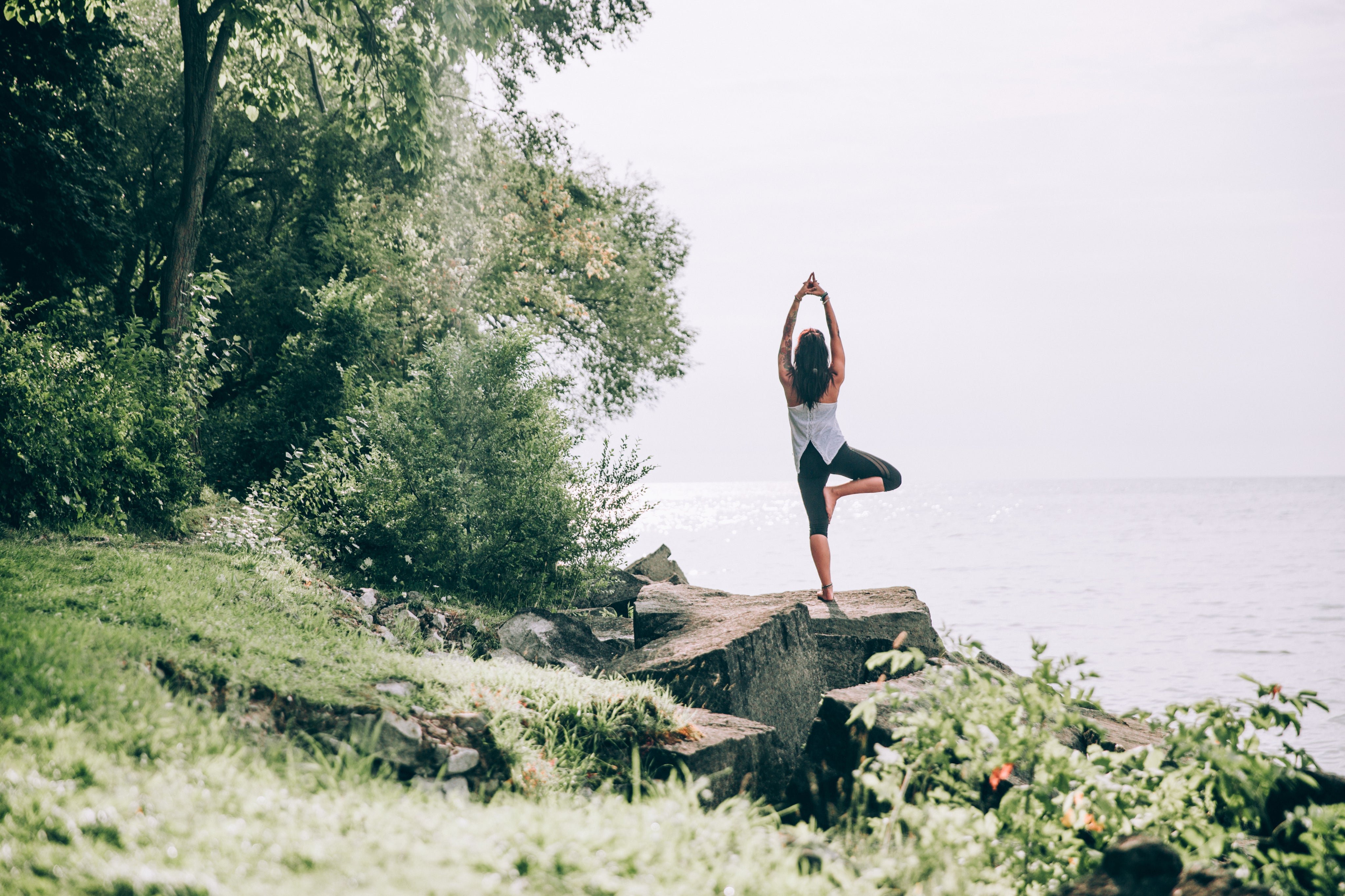 files/tree-pose-yoga-in-nature.jpg